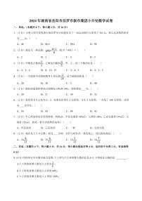 [数学]2024年湖南省岳阳市汨罗市新市集团小升初数学试卷(有答案)