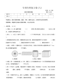 北师大版六年级数学第二学期 专项归类复习卷(八)（含答案）