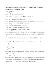 +上海市松江区2023-2024学年六年级下学期期末数学试卷（五四制）