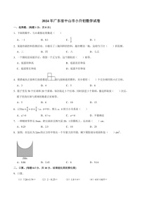2024年广东省中山市小升初数学试卷附答案解析
