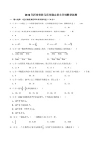 2024年河南省驻马店市确山县小升初数学试卷附答案解析