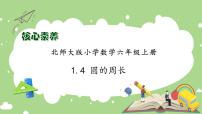 小学数学北师大版六年级上册4 圆的周长优质习题ppt课件