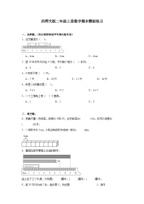 期末模拟练习（试题）-2024-2025学年西师大版二年级上册数学