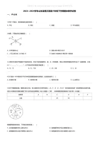 [数学][期末]2023_2024学年山东淄博沂源县六年级下学期期末数学试卷