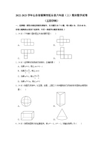 2022-2023学年山东省淄博市桓台县六年级（上）期末数学试卷（五四学制）