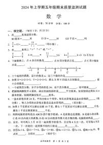 湖南省邵阳市洞口县2023-2024学年五年级下学期期末数学试卷