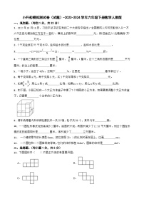 小升初模拟测试卷（试题）-2023-2024学年六年级下册数学人教版