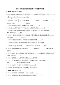 2024年河北省沧州市沧县小升初数学试卷