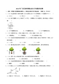 2024年广西玉林市博白县小升初数学试卷