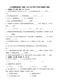 小升初模拟测试卷（试题）-2023-2024学年六年级下册数学人教版