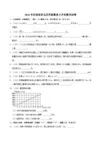 2024年河南省驻马店市新蔡县小升初数学试卷