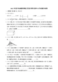 2022年四川省成都市锦江区四川师大附中小升初数学试卷