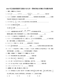 2024年云南省昭通市巧家县六合九年一贯制学校小河镇小升初数学试卷