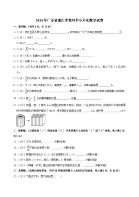 2024年广东省湛江市雷州市小升初数学试卷