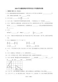 [数学]2024年安徽省亳州市利辛县小升初真题数学试卷(有答案)