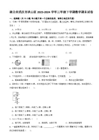 湖北省武汉市洪山区2023-2024学年三年级下学期数学期末试卷
