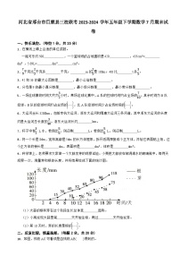 河北省邢台市巨鹿县三校联考2023-2024学年五年级下学期数学7月期末试卷