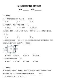 小学数学人教版（2024）五年级上册小数乘小数测试题