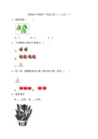 小学数学一 0~5的认识和加减法巩固练习