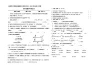 辽宁省沈阳市浑南区东北育才学校双语校区小学部2022-2023学年四年级上学期期中阶段数学测试