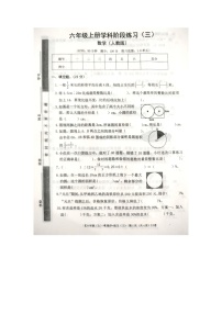 2023-2024学年江西省宜春市丰城市六年级（上）第三次月考数学试卷