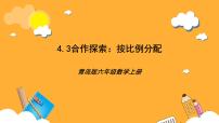 数学六年级上册四 人体的奥秘——比精品ppt课件