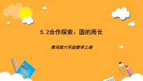 小学数学青岛版（2024）六年级上册五 完美的图形——圆一等奖ppt课件