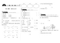 北师大版（2024）四年级上册1 线的认识课后作业题