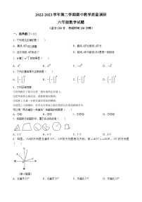 山东省东营市胜利第六中学2022-2023学年六年级下学期期中数学试题(无答案)