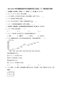 2022-2023学年福建省漳州市台商投资区五年级（下）期末数学试卷