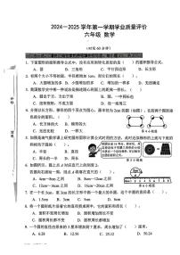 广东省深圳市宝安区2024-2025学年六年级上学期第一次月考数学试题