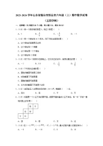 2023-2024学年山东省烟台市招远市六年级（上）期中数学试卷（五四学制）