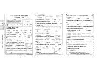 河北省邯郸市魏县多校2024-2025学年六年级上学期第一次月考数学试题