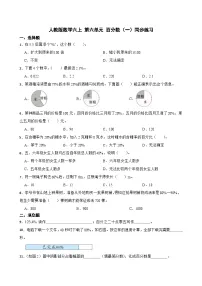 小学数学人教版（2024）六年级上册6 百分数（一）课时作业