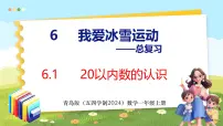 青岛版（五四学制）（2024）我爱冰雪运动——总复习说课ppt课件