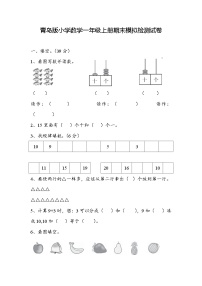 期末模拟检测试卷（试题）-2024-2025学年一年级上册数学青岛版