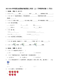 2023-2024学年湖北省恩施州宣恩县二年级（上）月考数学试卷（1月份）