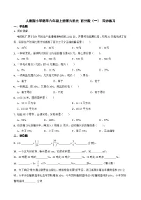 人教版（2024）六年级上册6 百分数（一）课后作业题