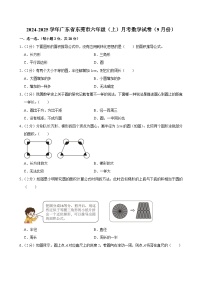 广东省东莞市2024-2025学年六年级上学期月考数学试卷（9月份）