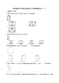 小学数学北师大版（2024）五年级上册1 轴对称再认识（一）课后测评