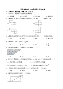 贵州省黔南州2024年数学小升初试卷