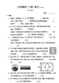 广东省深圳市罗湖区多校2024-2025学年六年级上学期第一次月考数学试卷