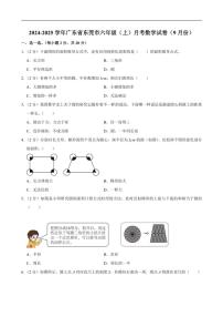 [数学]广东省东莞市2024～2025学年六年级上学期月考试卷(上学期9月份)(有答案)