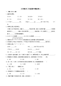 期中模拟测试1（试题）-2024-2025学年三年级数学上册 人教版