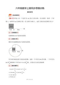 （挑战奥数）《圆的面积》--六年级数学上册同步思维训练