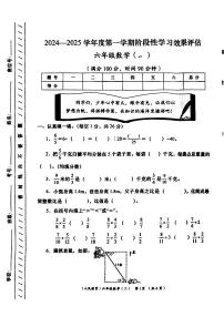 甘肃省陇南市礼县2024-2025学年六年级上学期期中数学试题