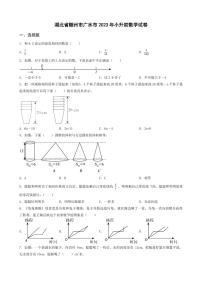 湖北省随州市广水市2023年小升初数学试卷 _学生用卷(答案含解析)