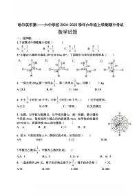 2024年哈尔滨市116中学六年级（上）期中数学试题及答案11.1