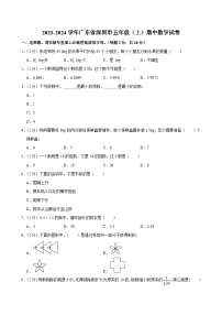 广东省深圳市2023-2024学年五年级上学期期中数学试卷