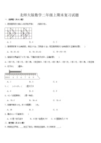 期末复习试题（试题）-2024-2025学年二年级上册数学北师大版(01)